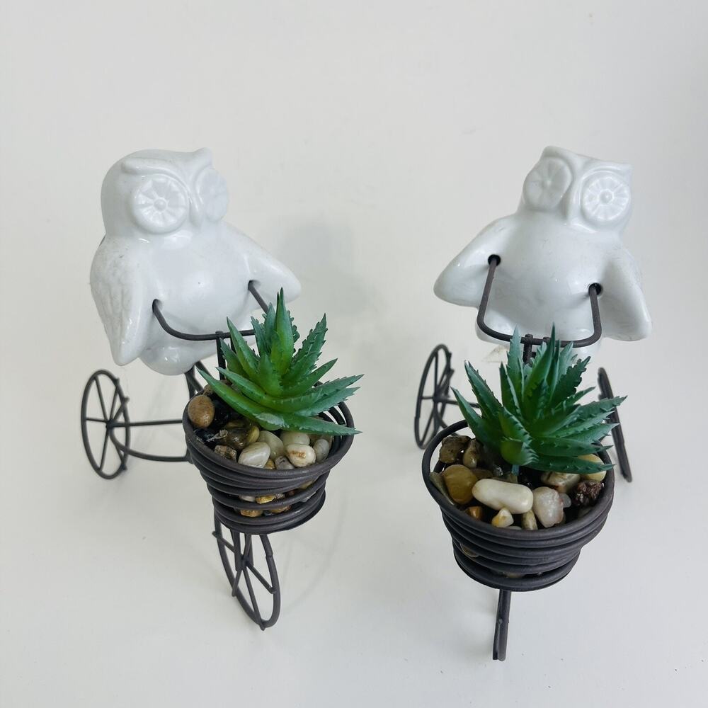 2 Riding Cute Ceramic Owl Bicycle Artificial Succulent‎ Small Plant Holder Decor